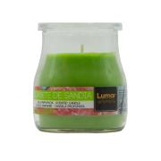 900458-Vaso-Yogurt-Perf-Sorbete-de-Sandia-8428451090340